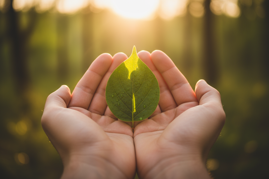 Carrying the Light: Weaving Gratitude into Your Everyday Life