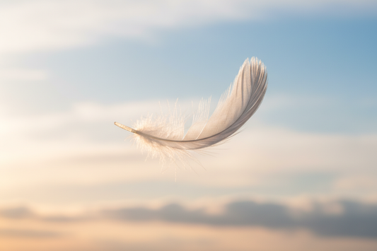 Energy Awareness: How I Intentionally Shape the Energy I Carry