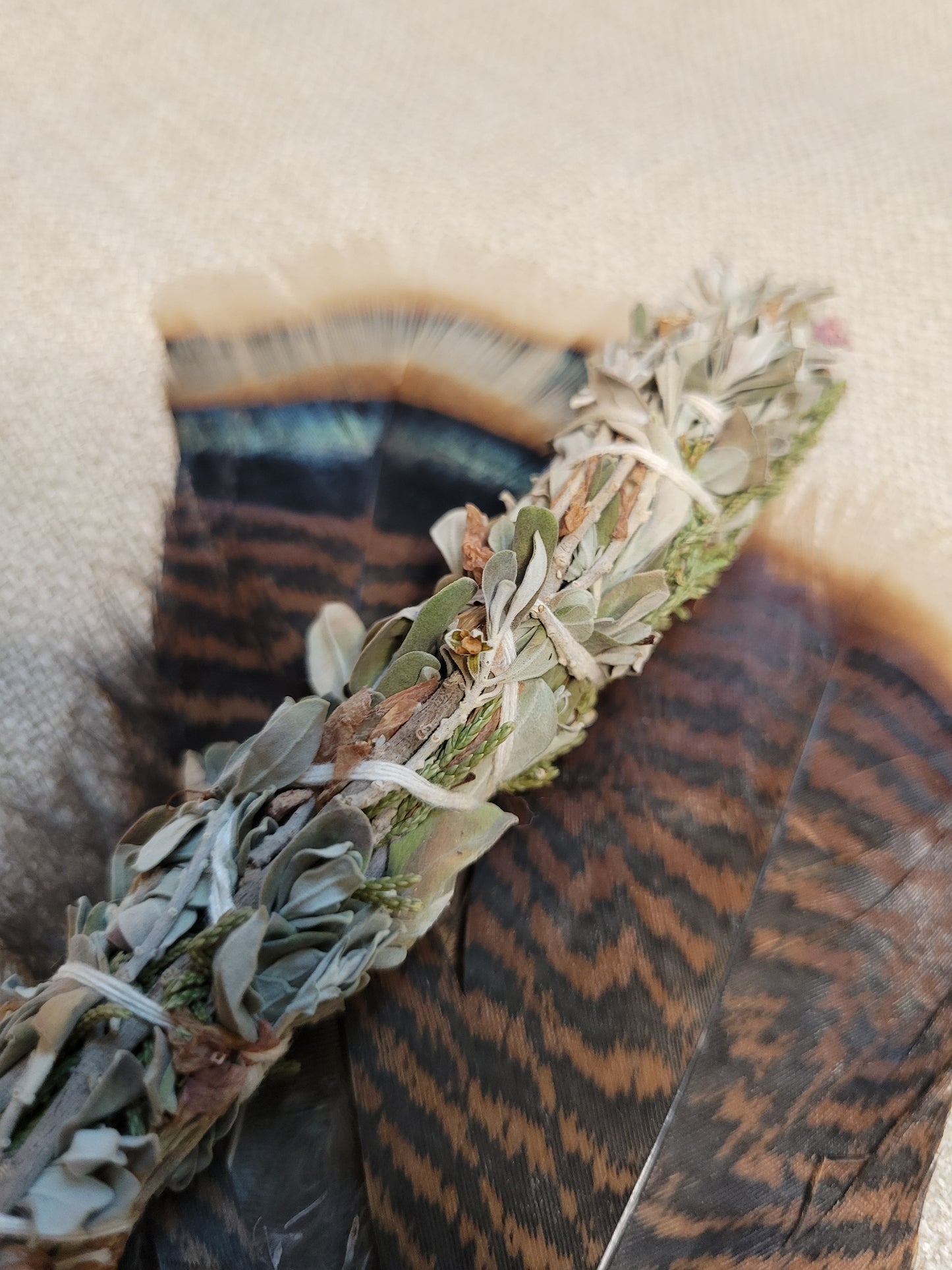 Texas Sage & Juniper Smudge Stick | Desert Cleansing Blend