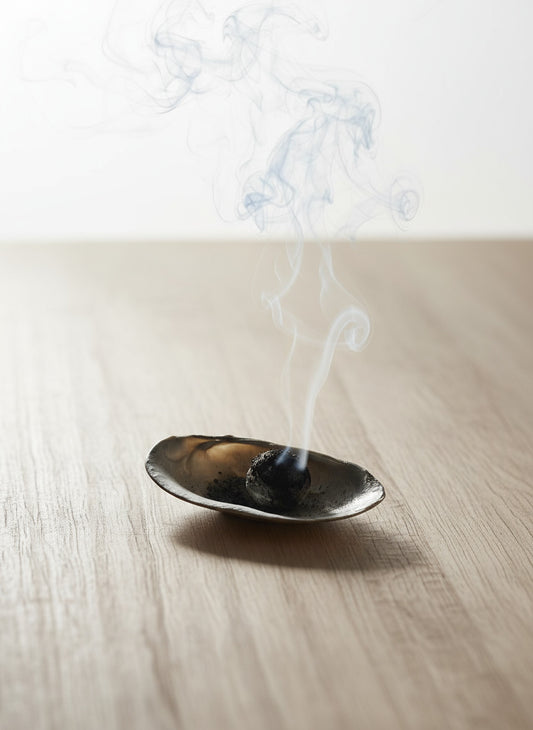 Authentic & Natural Shells - The Perfect Ritual Bowl for Burning Sage